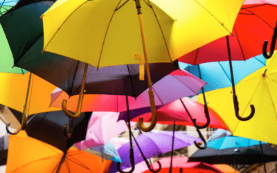N’oubliez pas le Parapluie…